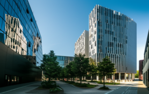 Accounting firm Luxembourg: Our Top Expert Picks